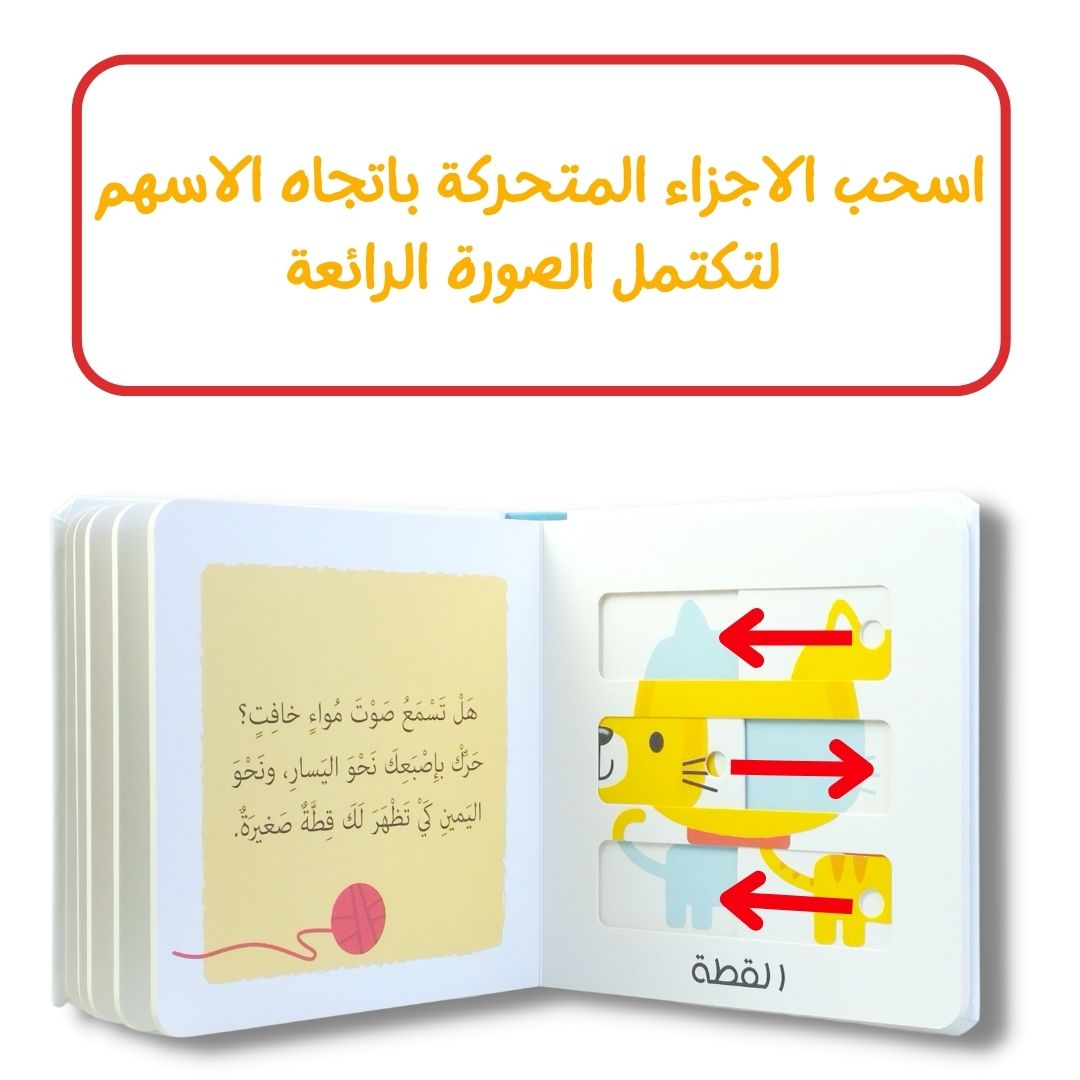 moveable pictures book