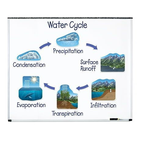 دورة المياه المغناطيسية
