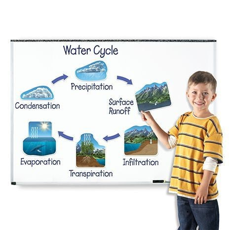 Giant Magnetic Water Cycle