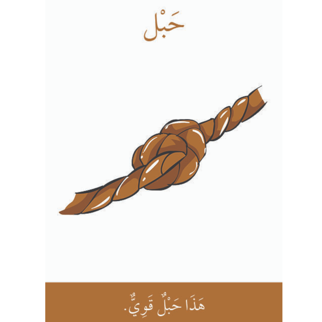 Words and Sentences – Things Around Me - Fun Learning Store